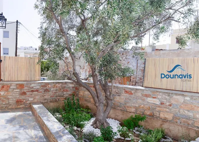 Apartamento Dounavis Homes: The Hidden Olive Ermoupoli