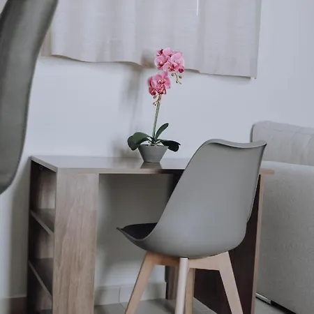 Dounavis Homes: The Hidden Olive Apartment