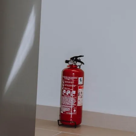 Dounavis Homes: The Hidden Olive *