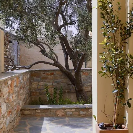 Dounavis Homes: The Hidden Olive Apartment *