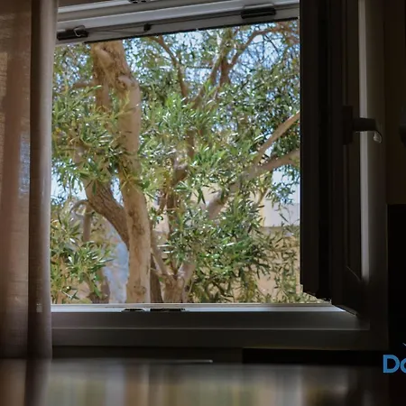 Apartament Dounavis Homes: The Hidden Olive *