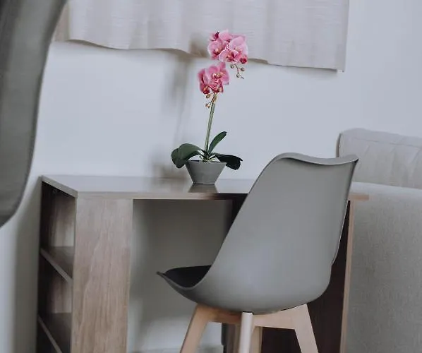 Dounavis Homes: The Hidden Olive Appartement